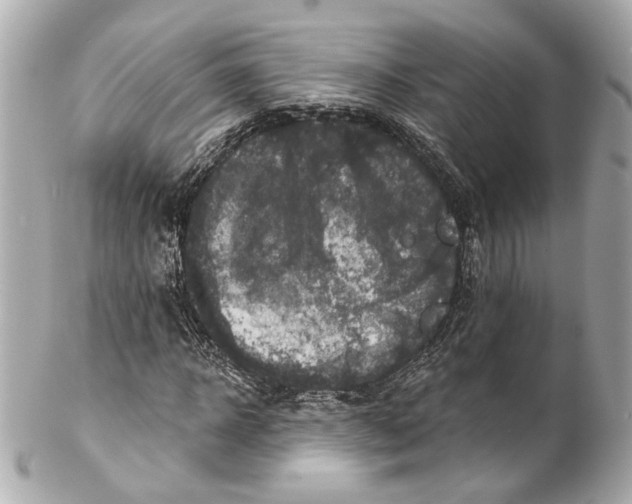 X0000102040918200808151403