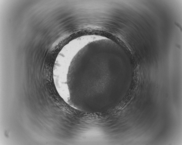 X0000102040919200808151403