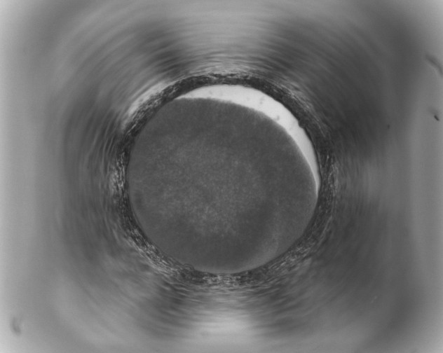 X0000102040920200808151403