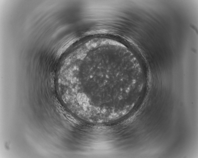 X0000102040921200808151403