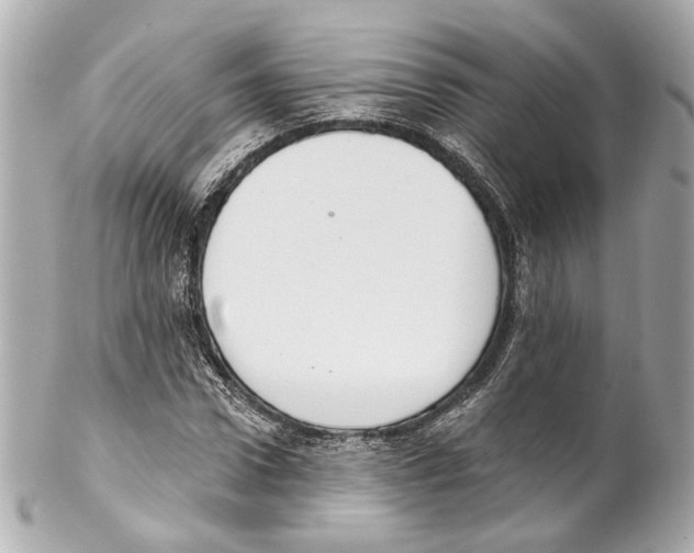 X0000102040922200808151403