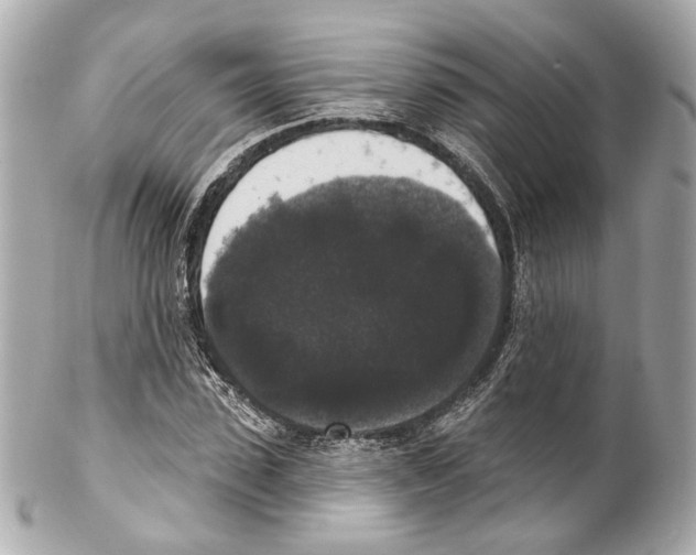 X0000102040923200808151403