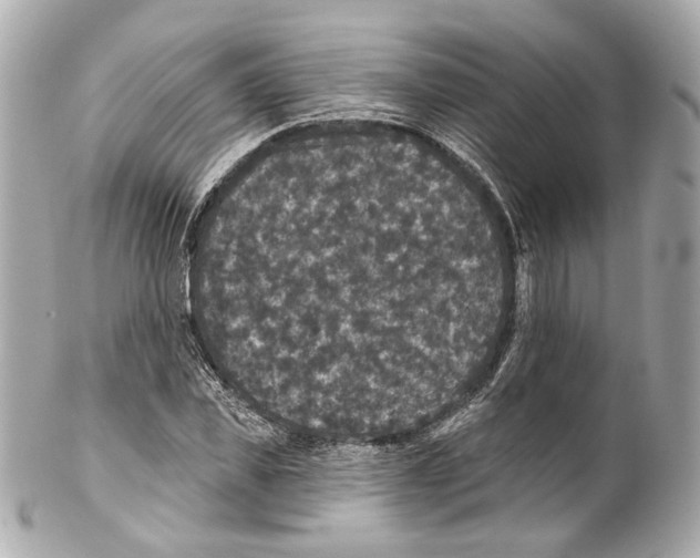 X0000102040925200808151403