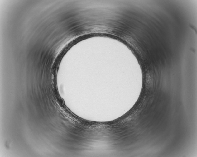 X0000102040926200808151403