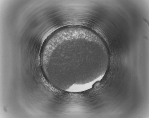 X0000102040928200808151403