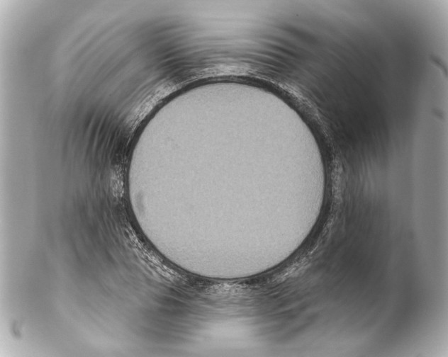 X0000102040929200808151403