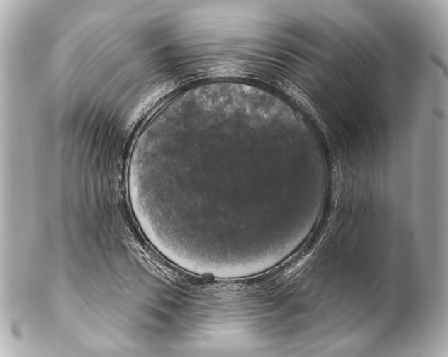 X0000102040930200808151403