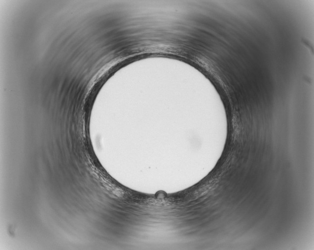 X0000102040931200808151403