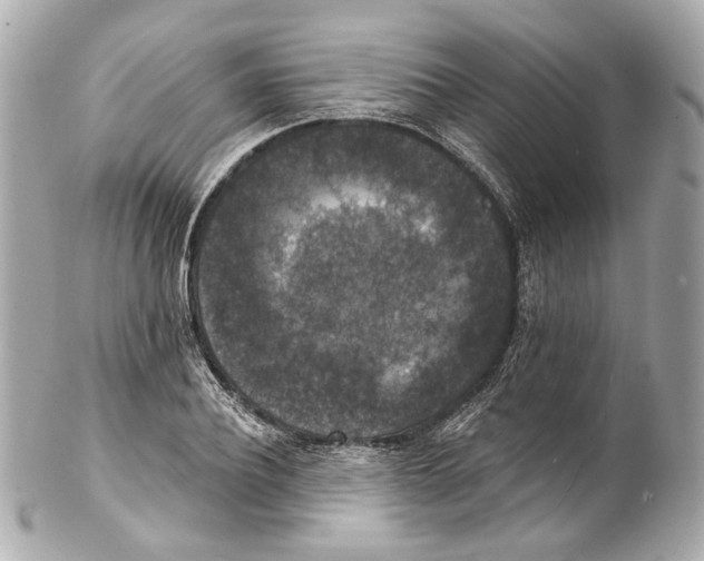 X0000102040932200808151403