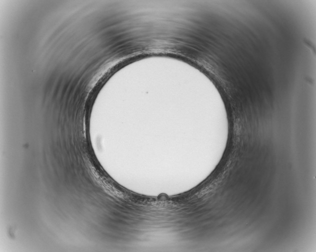 X0000102040934200808151403