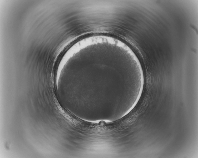 X0000102040935200808151403