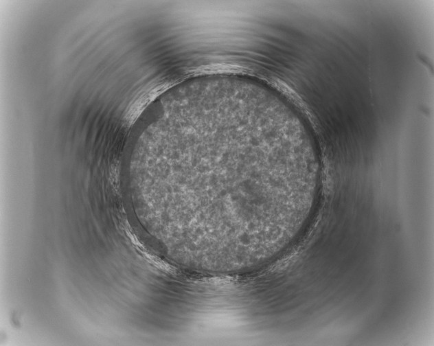 X0000102040937200808151403
