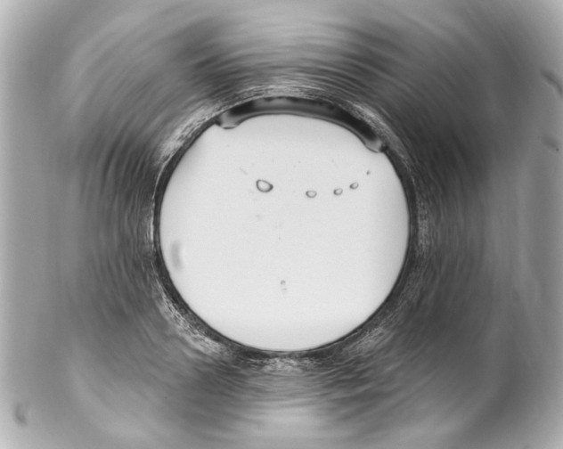 X0000102040938200808151403