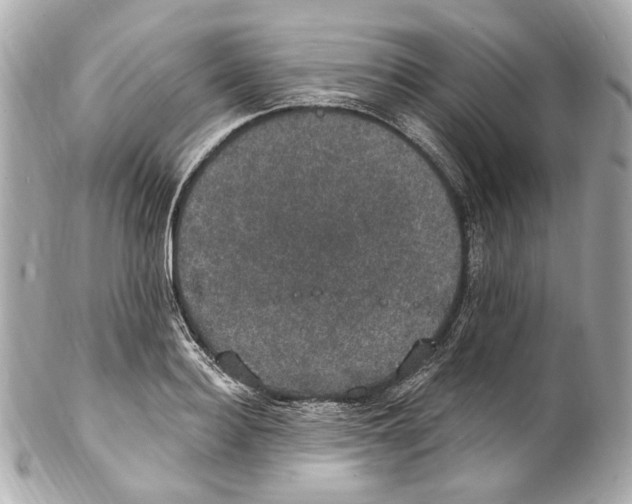 X0000102040940200808151403