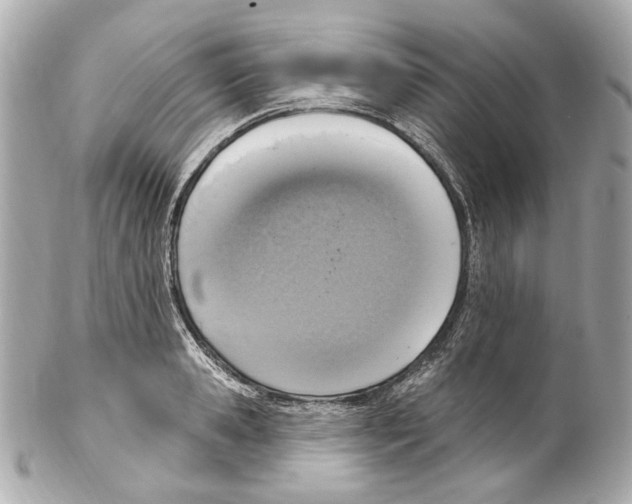 X0000102040941200808151403