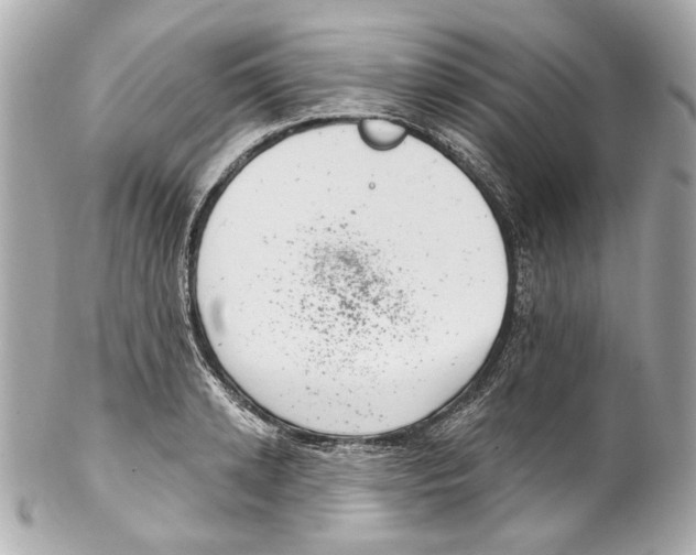 X0000102040942200808151403