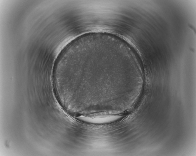 X0000102040943200808151403