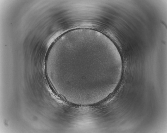 X0000102040944200808151403