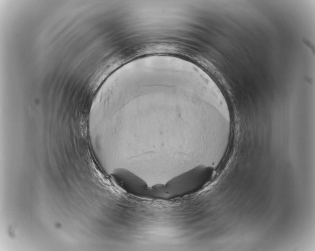 X0000102040945200808151403