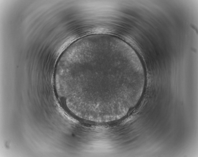 X0000102040946200808151403