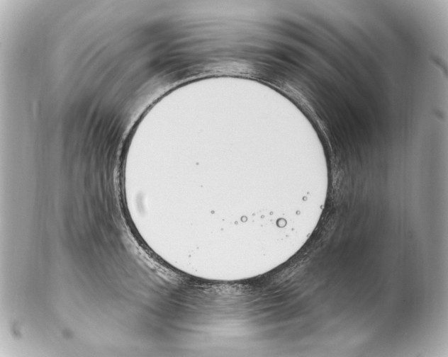 X0000102040947200808151403