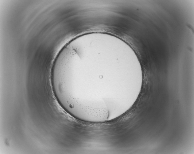 X0000102040950200808151404