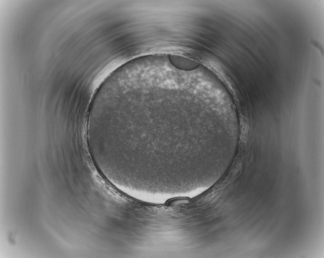 X0000102040952200808151404