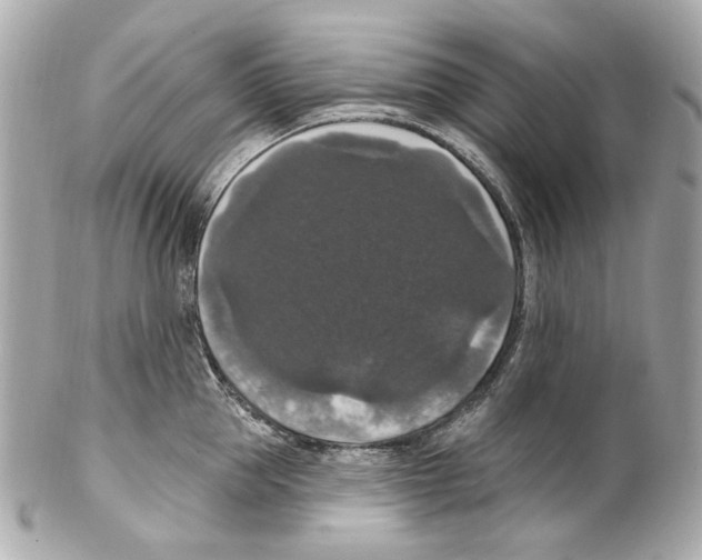 X0000102040953200808151404