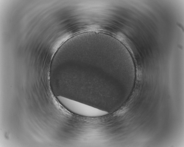 X0000102040954200808151404