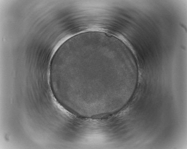 X0000102040955200808151404