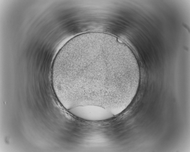 X0000102040956200808151404