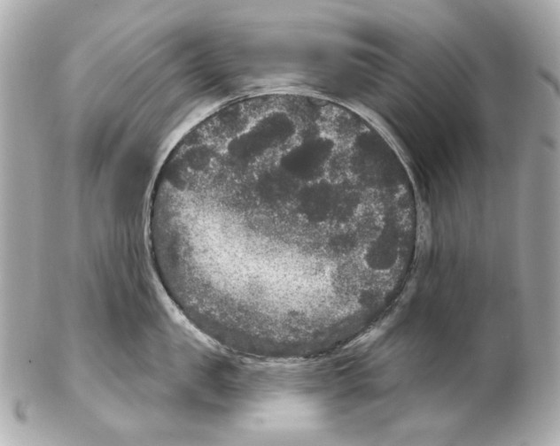 X0000102040957200808151404