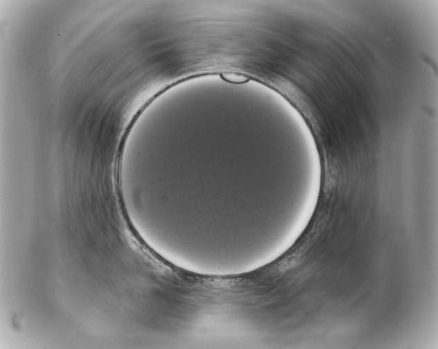 X0000102040958200808151404