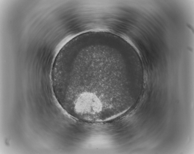 X0000102040959200808151404