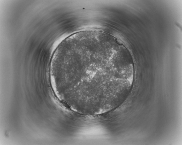 X0000102040960200808151404