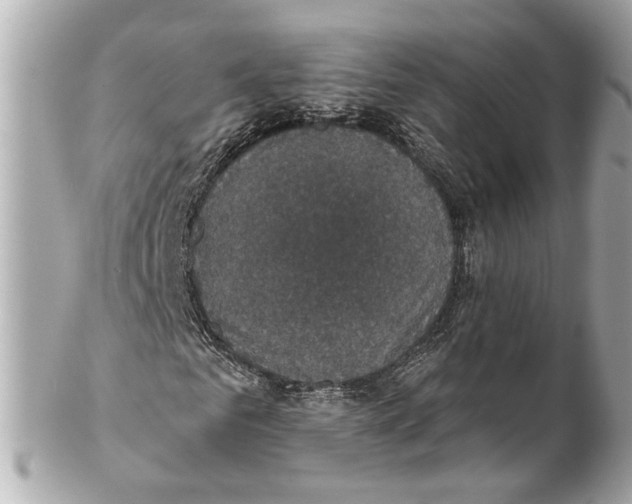 X0000102040961200808151403