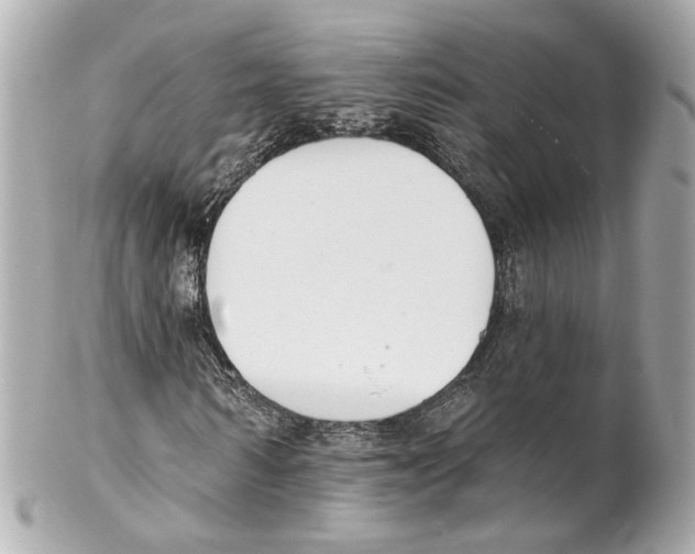 X0000102040962200808151403