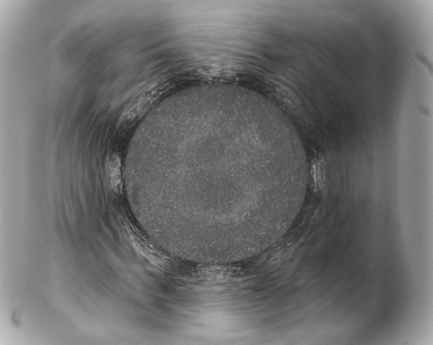X0000102040963200808151403