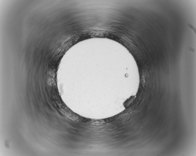 X0000102040964200808151403