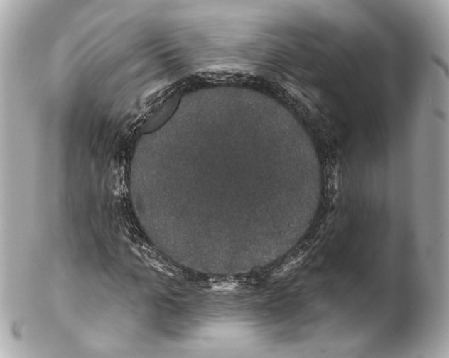 X0000102040965200808151403