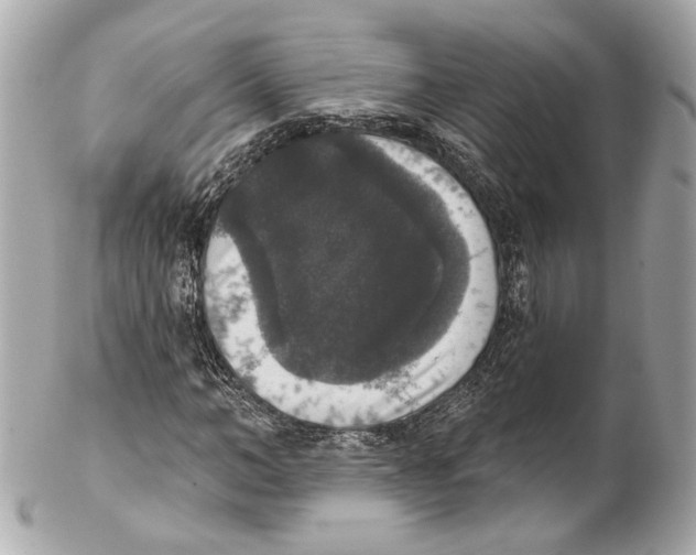 X0000102040966200808151403