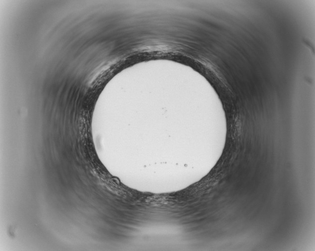 X0000102040967200808151403