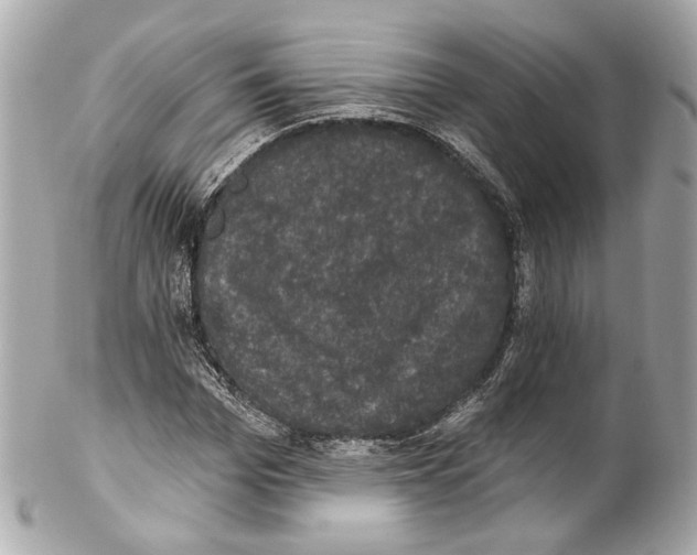 X0000102040969200808151403
