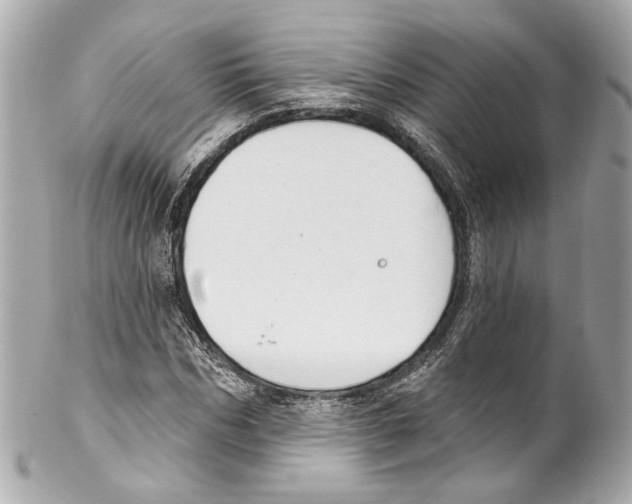 X0000102040970200808151403