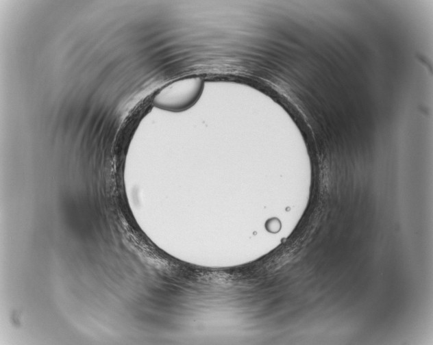 X0000102040971200808151403