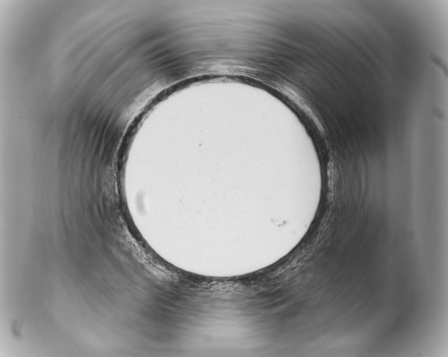 X0000102040972200808151403