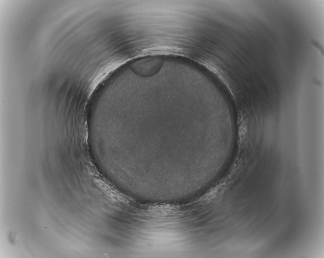 X0000102040973200808151403