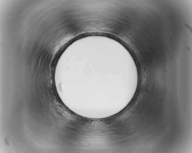 X0000102040974200808151403