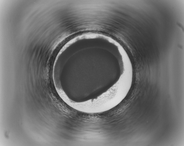 X0000102040975200808151403