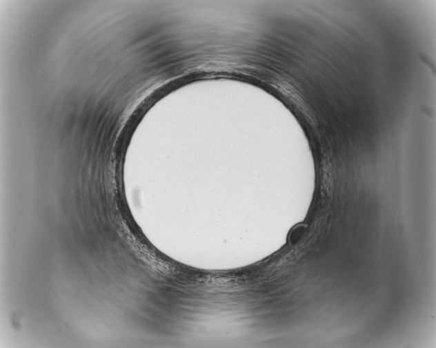 X0000102040976200808151403